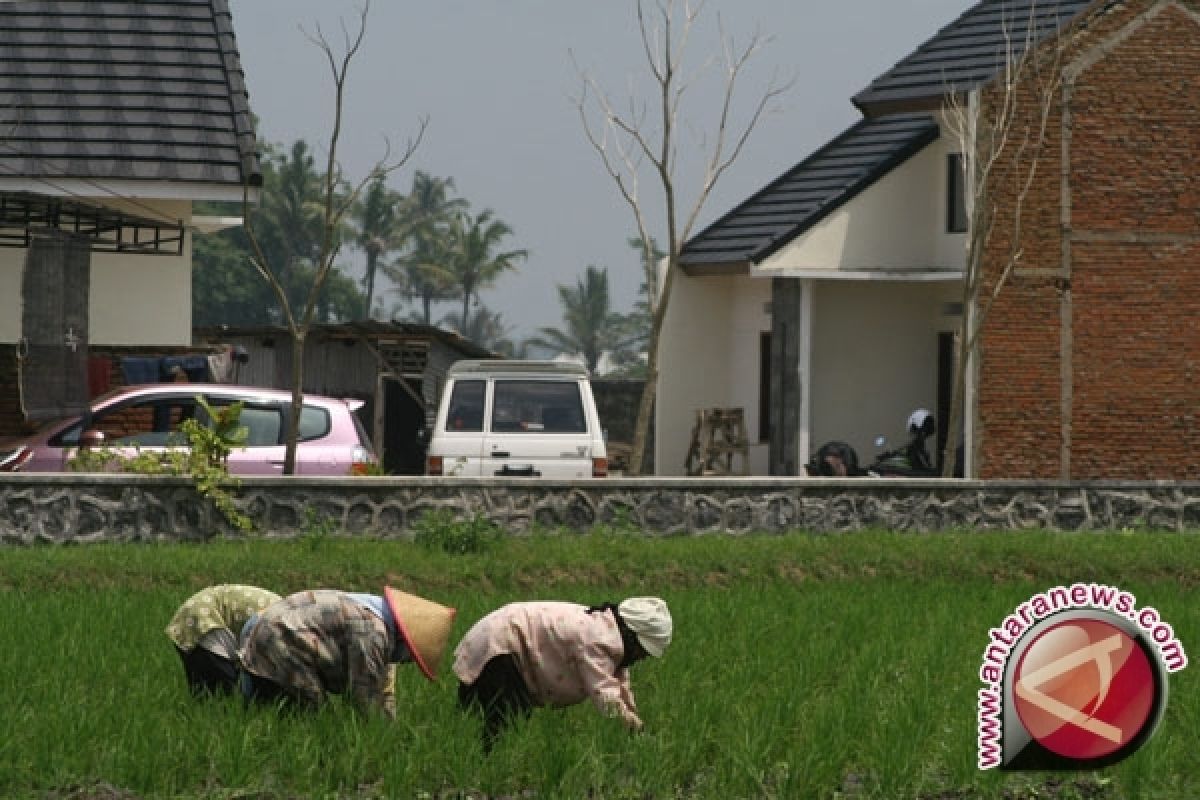 KPPD Sleman tekan laju alih fungsi lahan