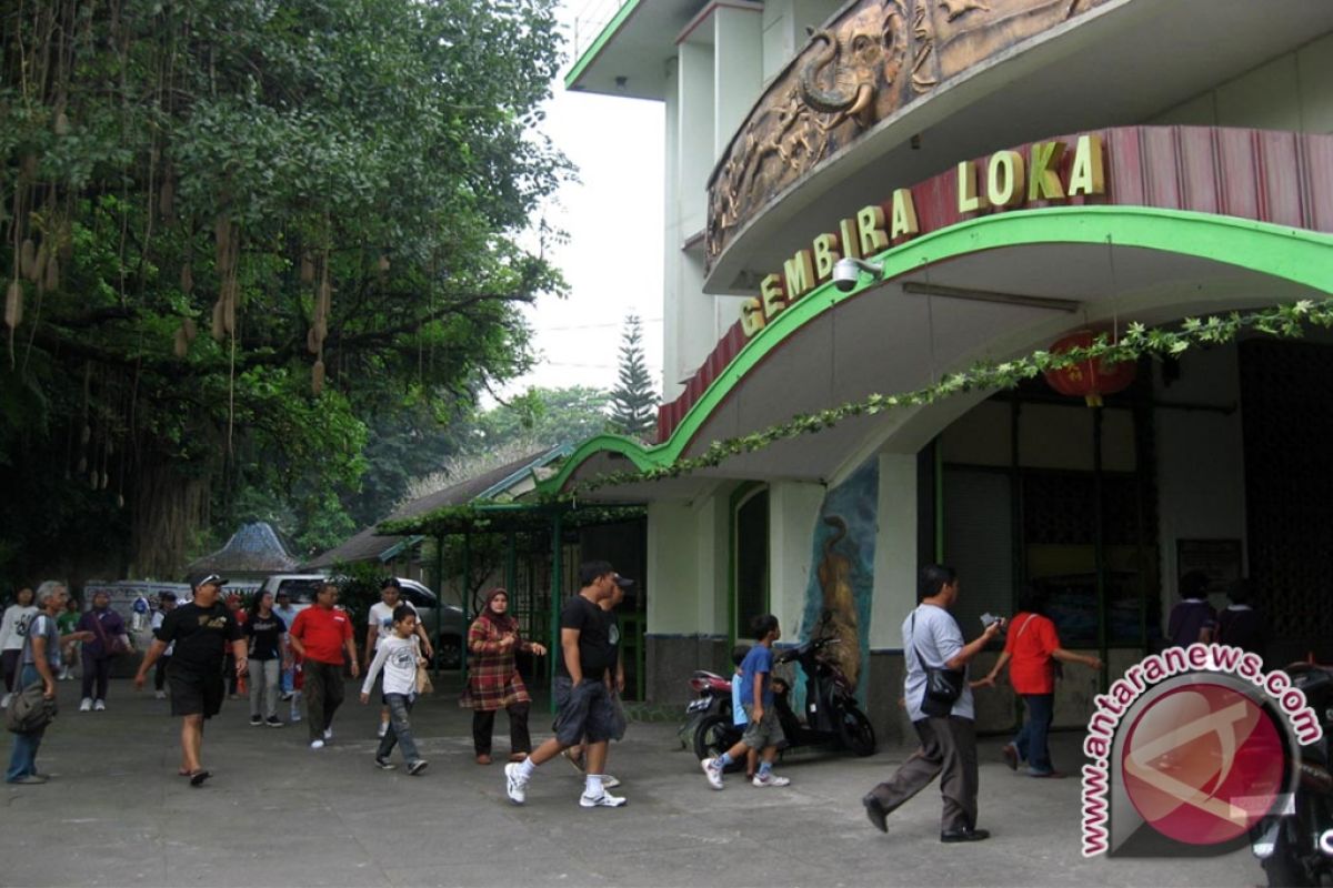 Gl Zoo buka puasa bersama anak yatim