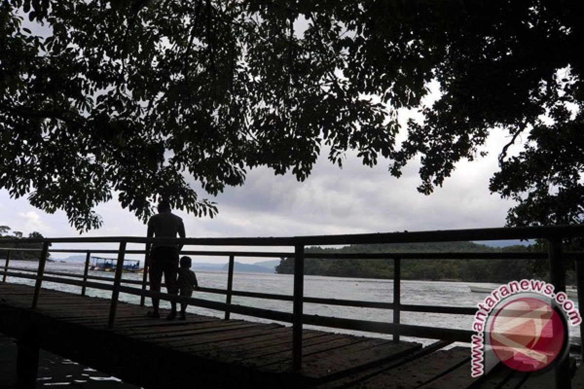 Weh Island waters home to 133 coral species