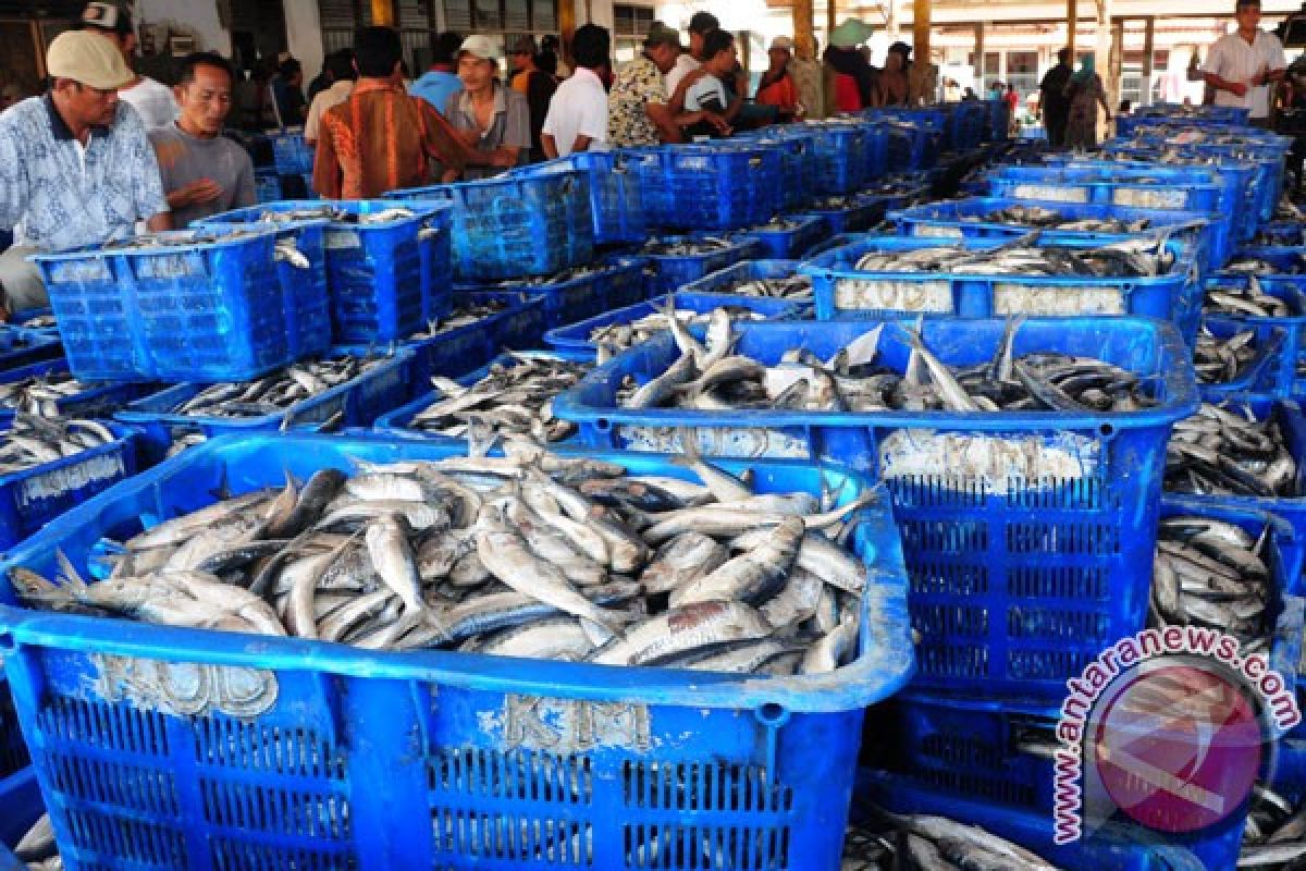 Bontang has potential to produce one million tons of fish per year