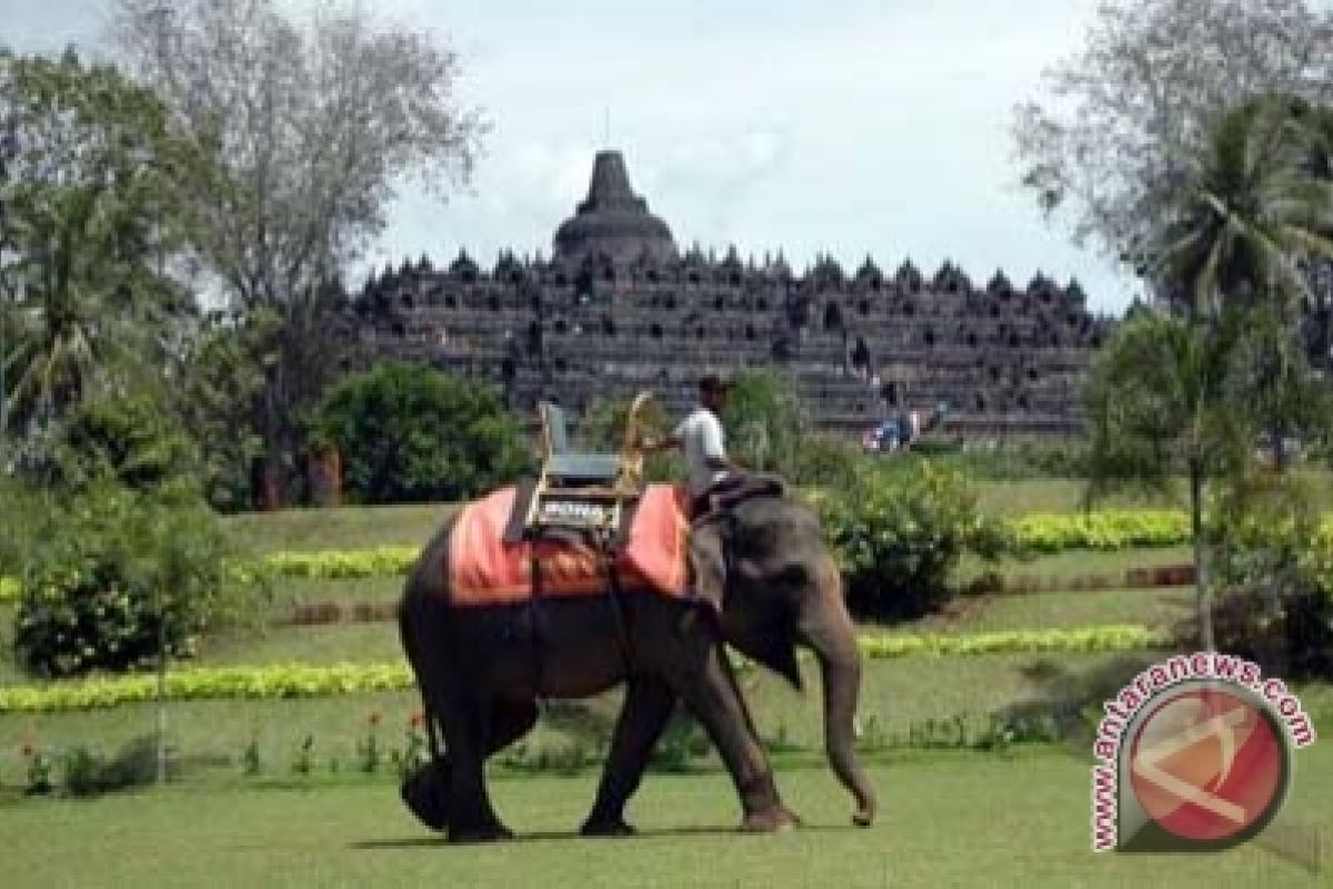 BKB uji coba lapisi tangga Candi Borobudur