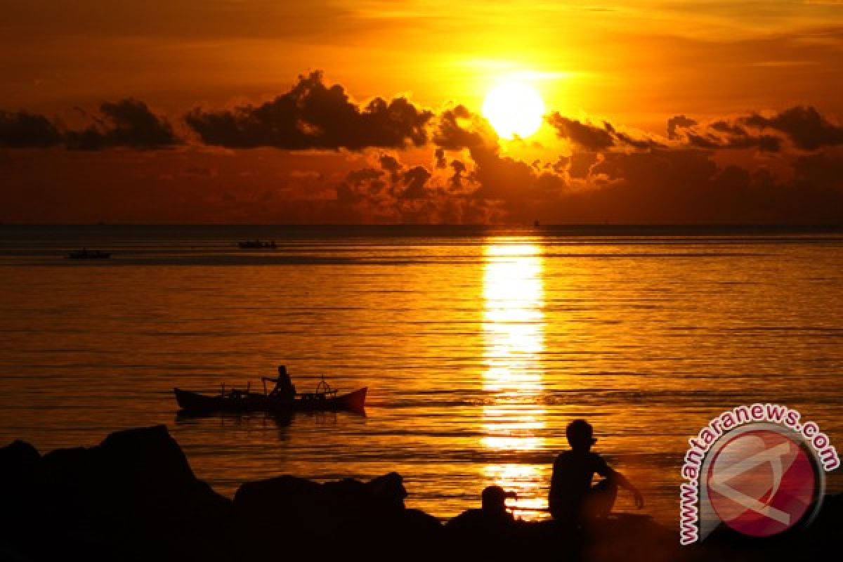 Gurita serang nelayan Simeulue