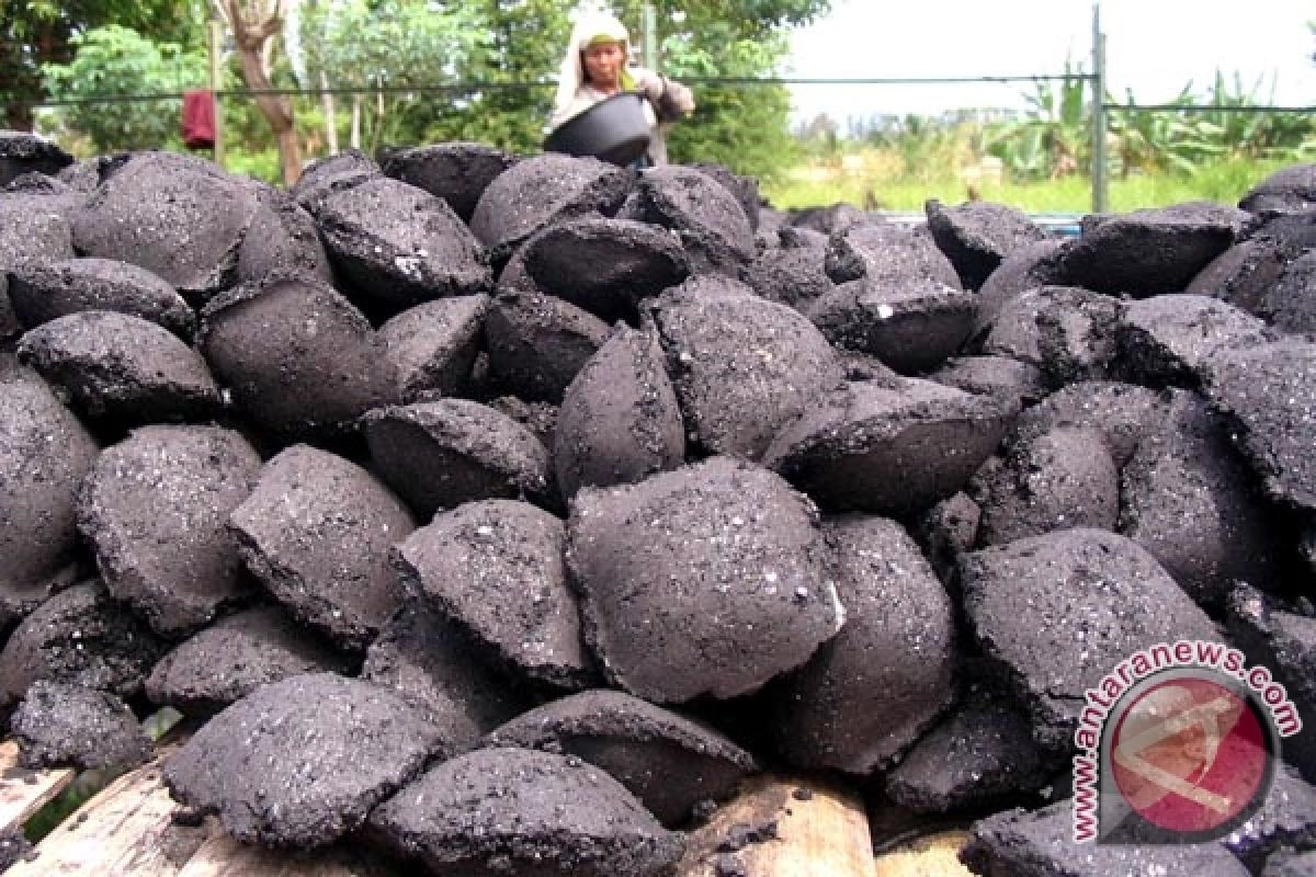 Produksi batu bara Bengkulu terancam turun