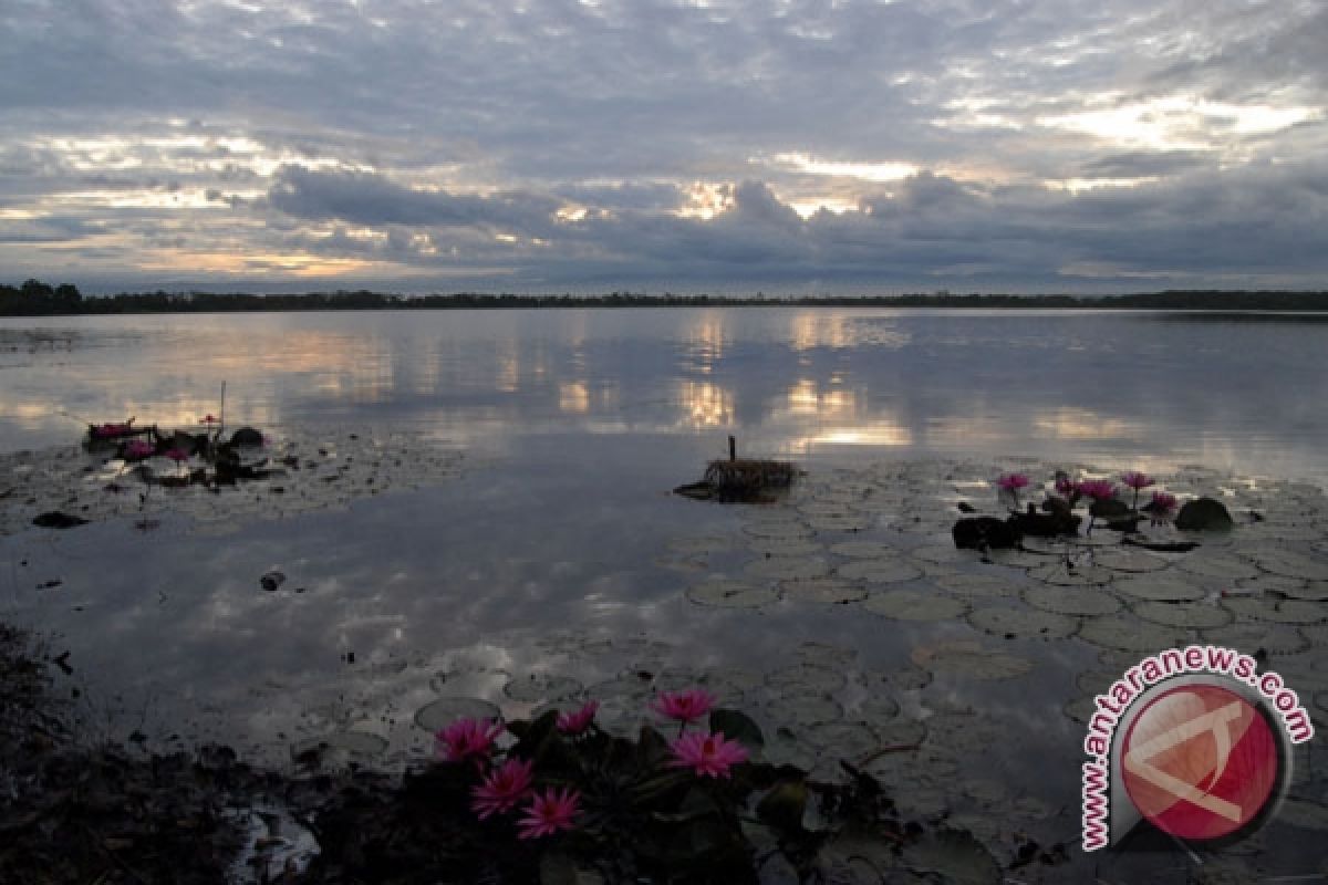 Bengkulu Usulkan Danau Dendam Jadi Taman Wisata