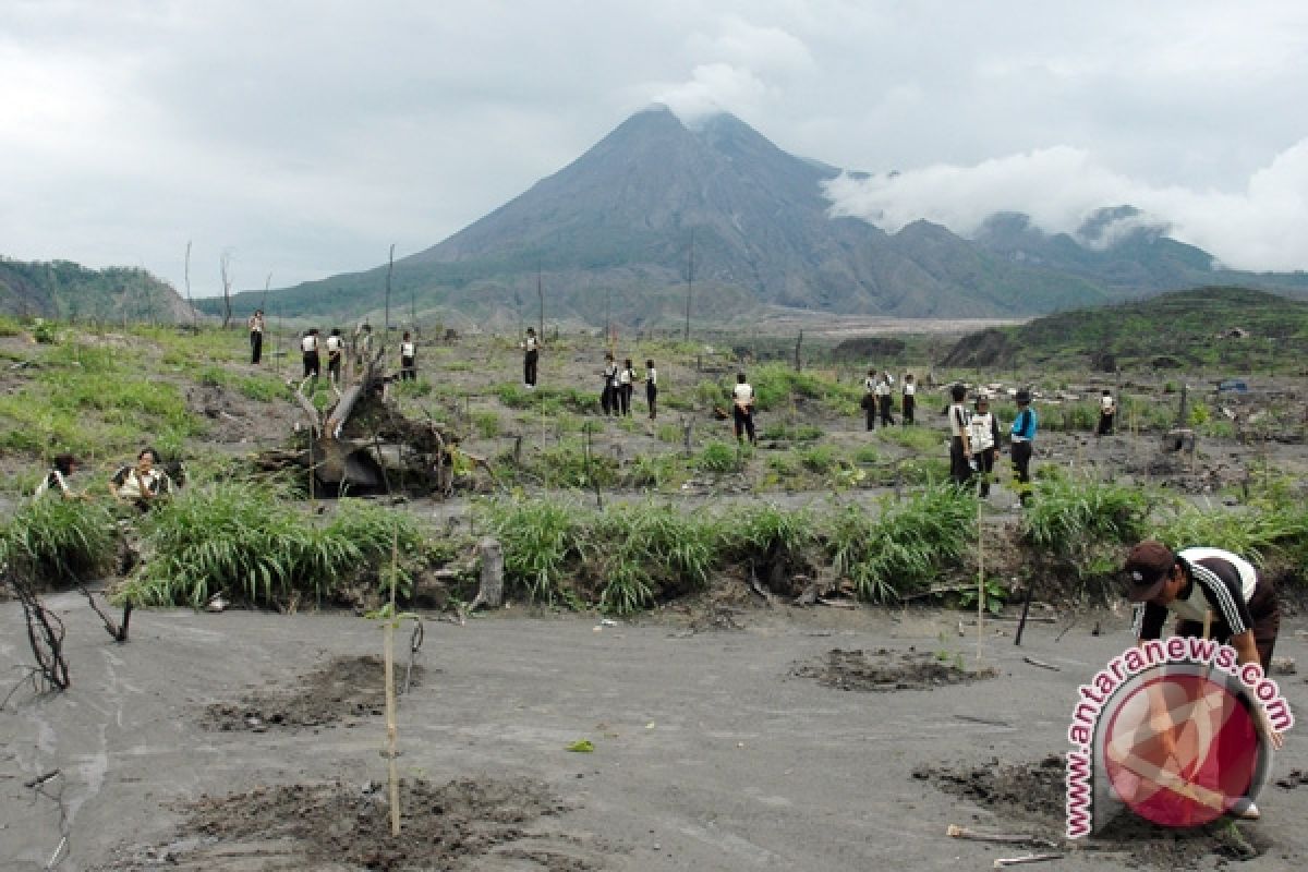 Gubernur harapkan penanaman pohon aren lereng Merapi