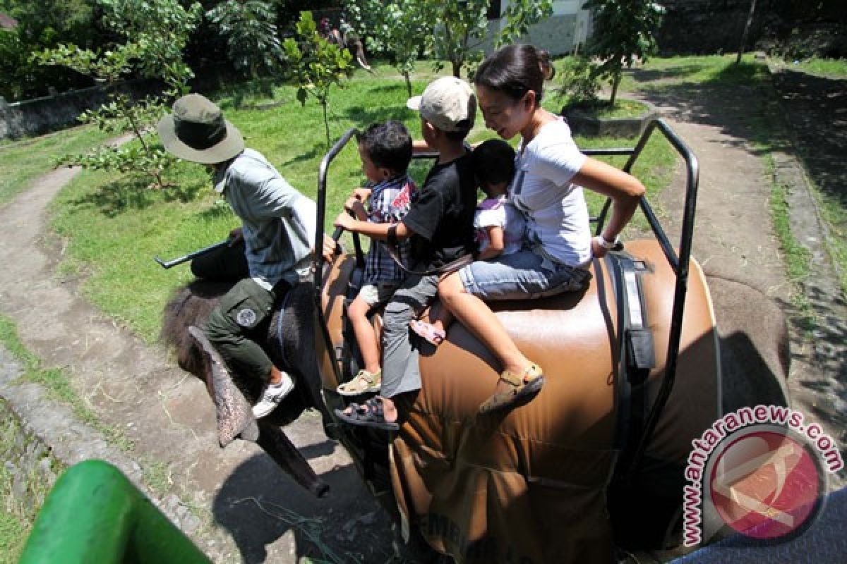 Gembira Loka gelar program satwa masuk sekolah