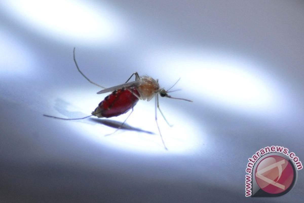 Malaria masih jadi musuh terbesar di Nigeria