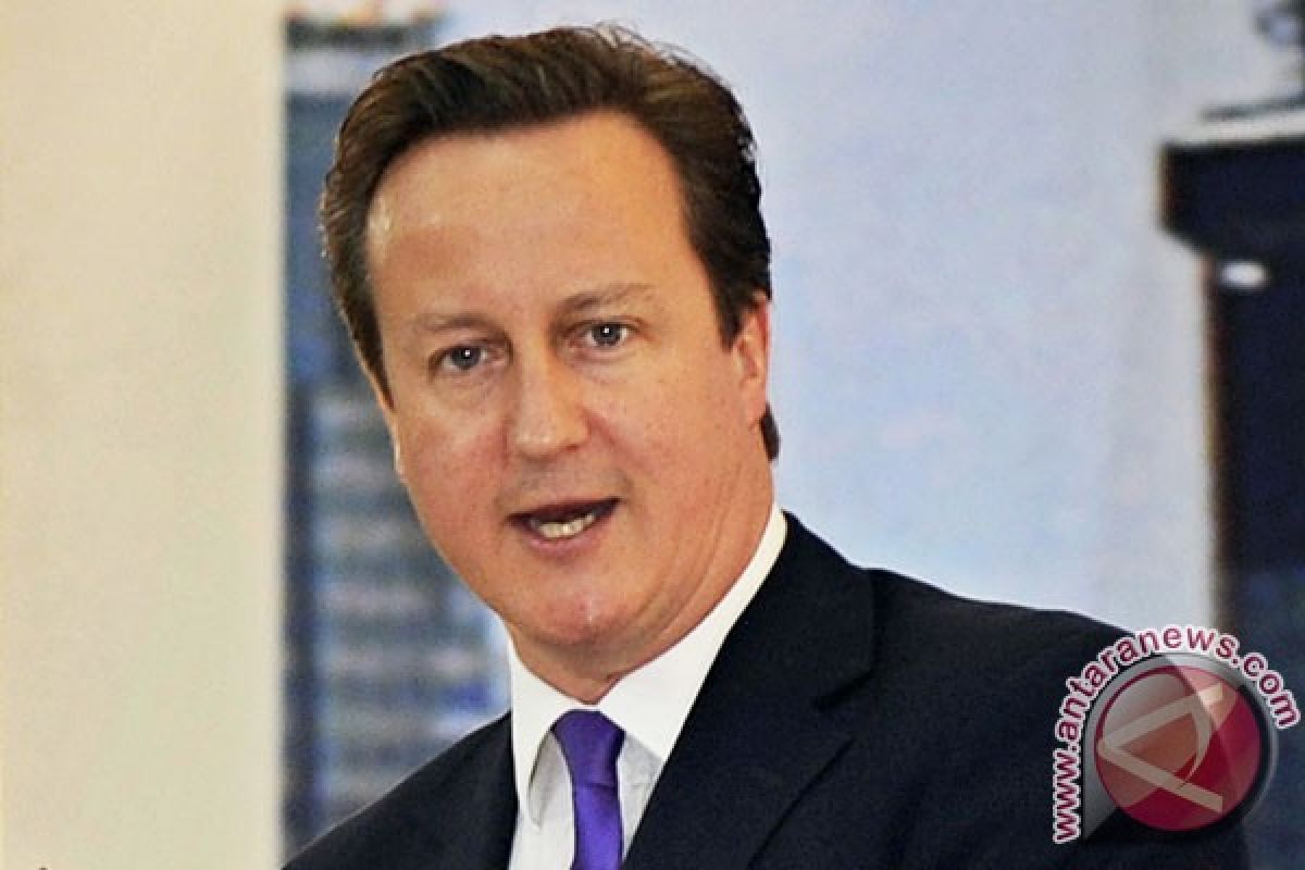 David Cameron support international contact group