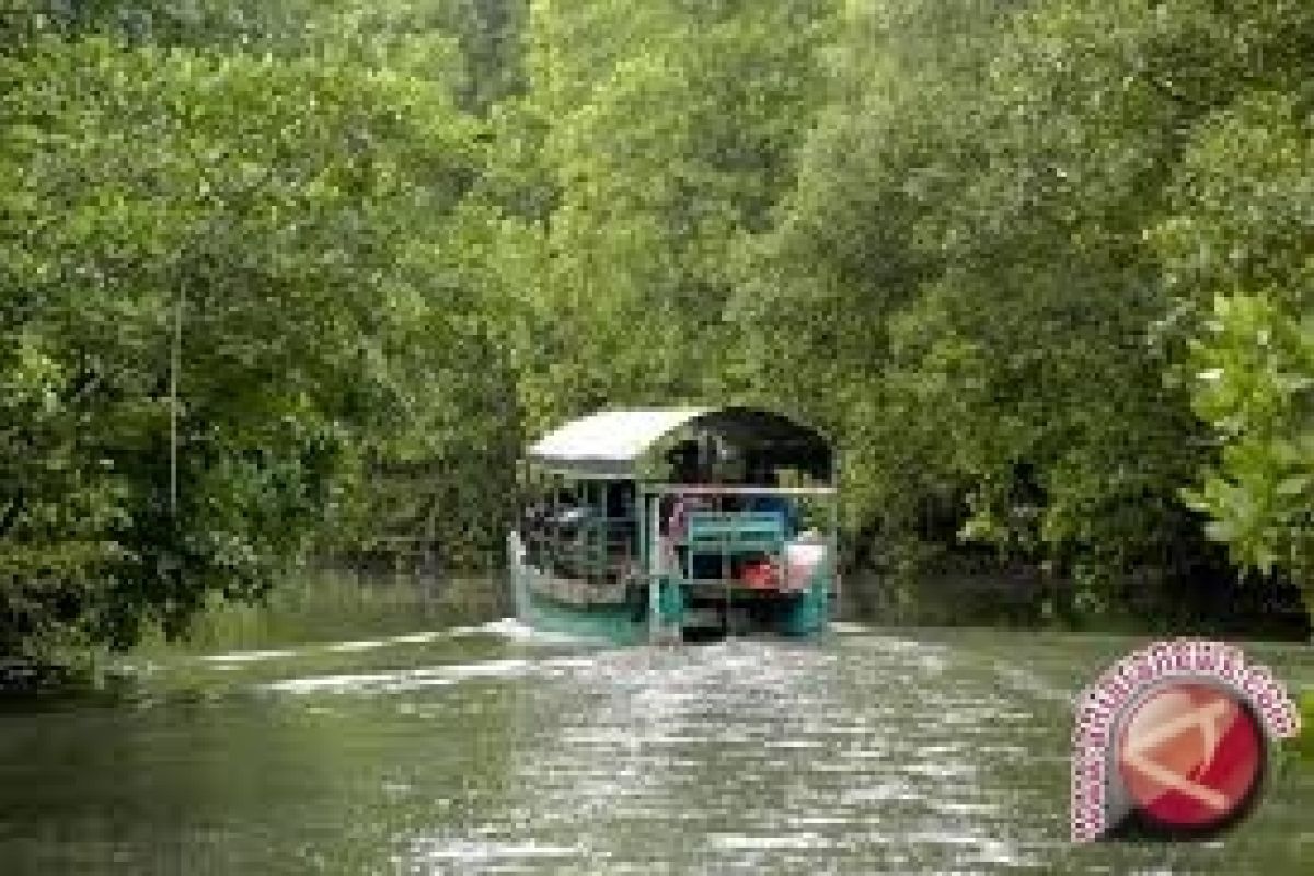 Menhut: Mangrove Indonesia Tinggal 25 Persen 