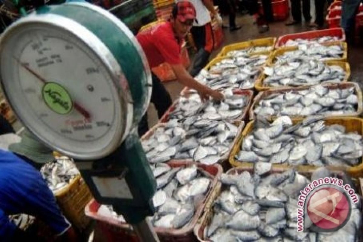 Potensi Ikan Tangkap Sambas 23.250 Ton Pertahun