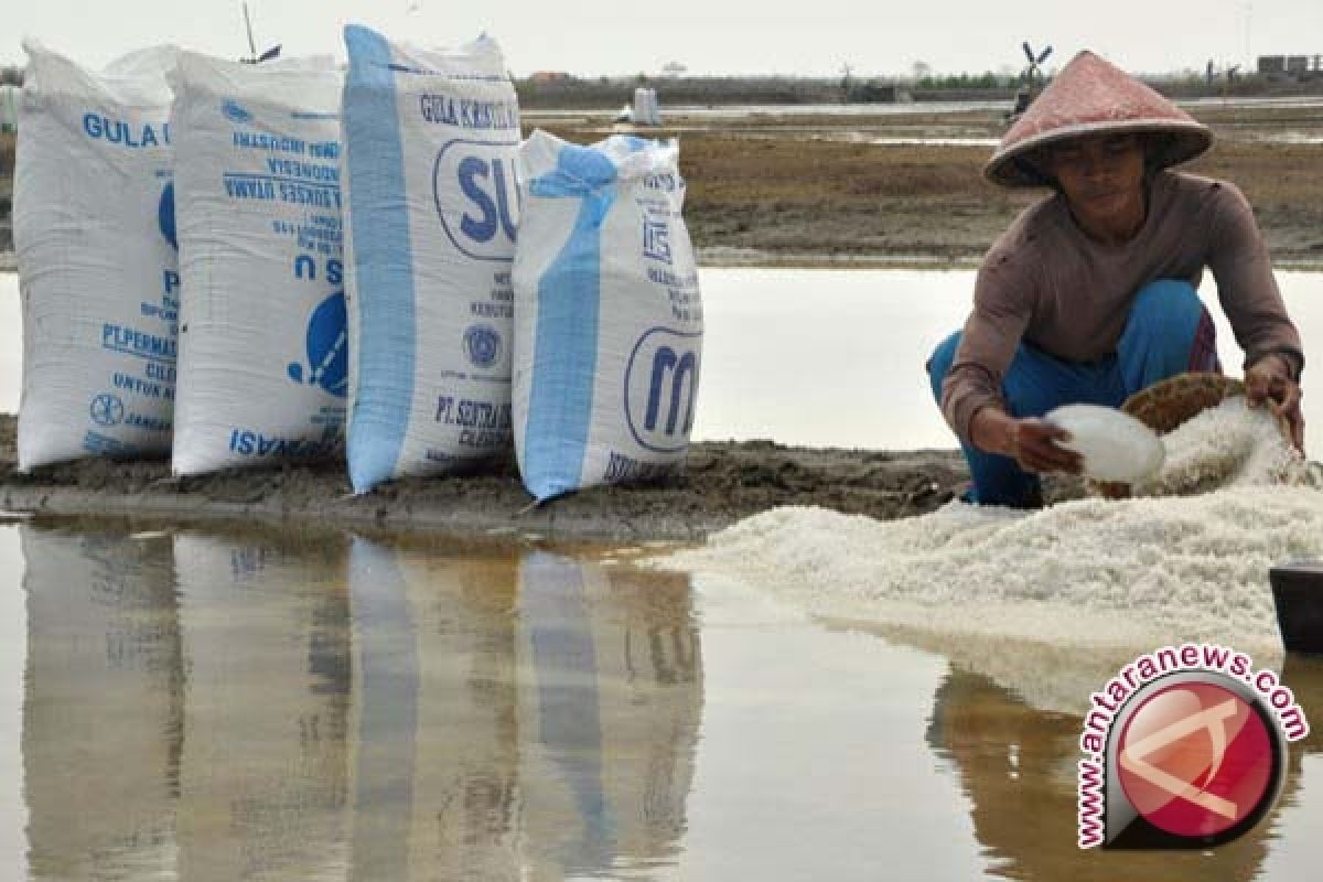 Bantul dorong pengembangan budi daya garam pantai 