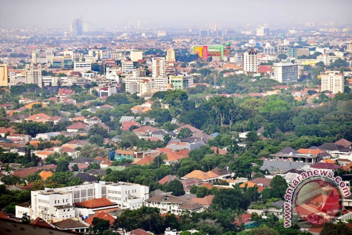 Peluang pasar karbon terbuka di Tanah Air