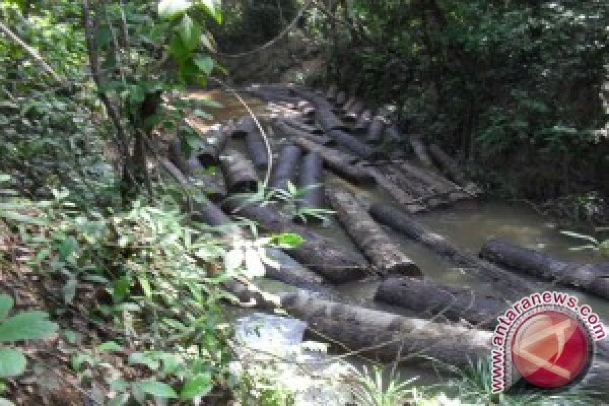 Dua staf PT Reki disandera di hutan