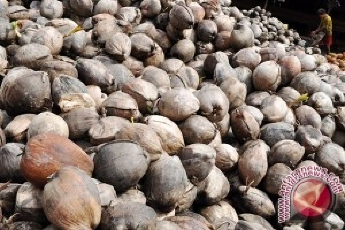 Petani Kelapa Segedong Dilatih Membuat 