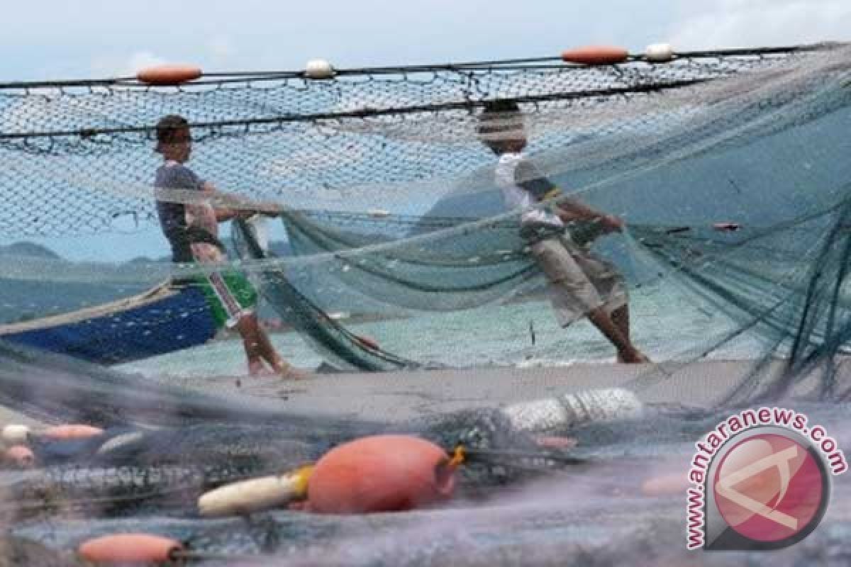 Banyak nelayan Indonesia di perairan barat pakai pukat 