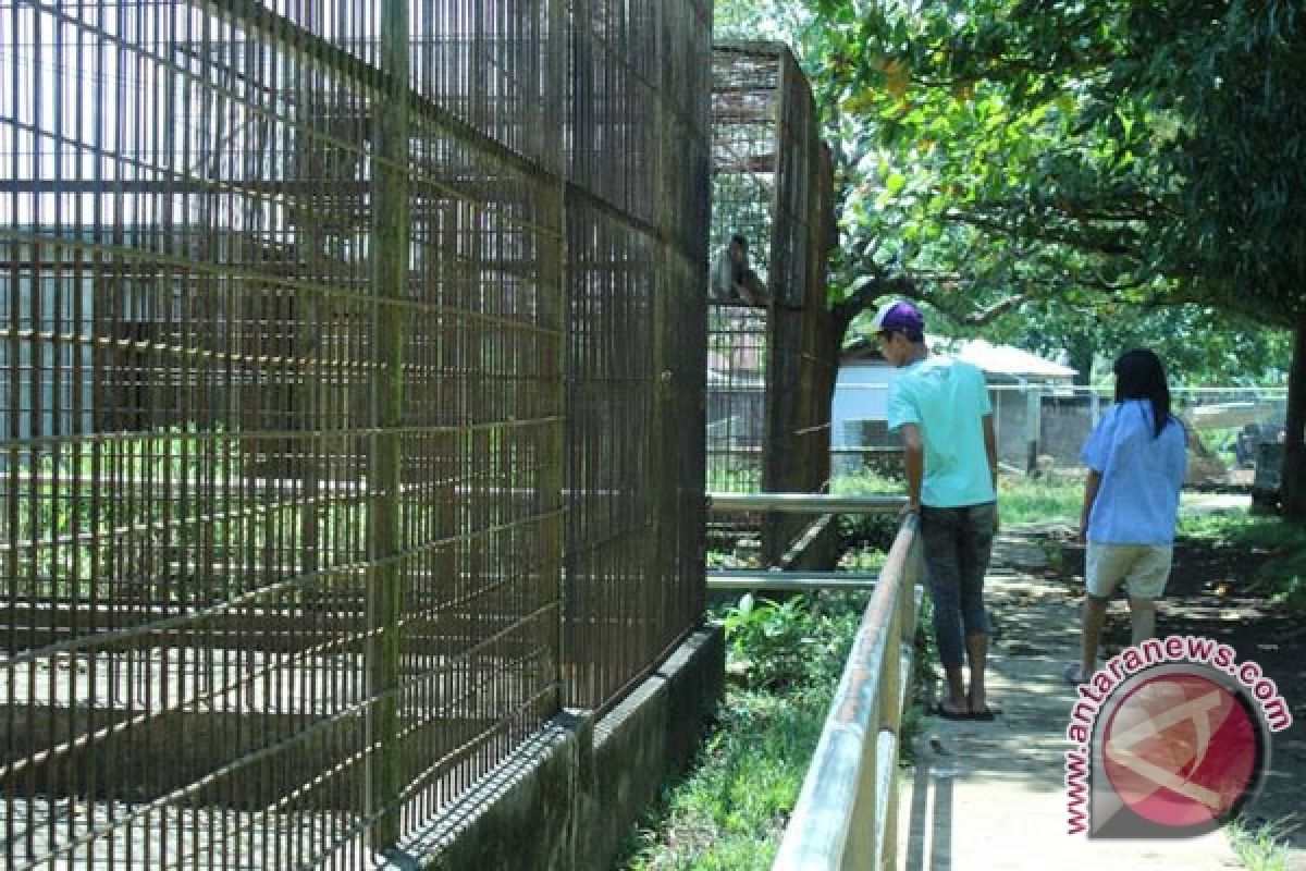 Warga sayangkan taman satwa Bengkulu tak terawat