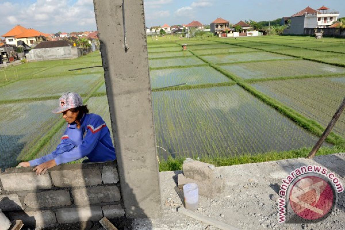 Mentan meminta pemda menjaga alih fungsi lahan