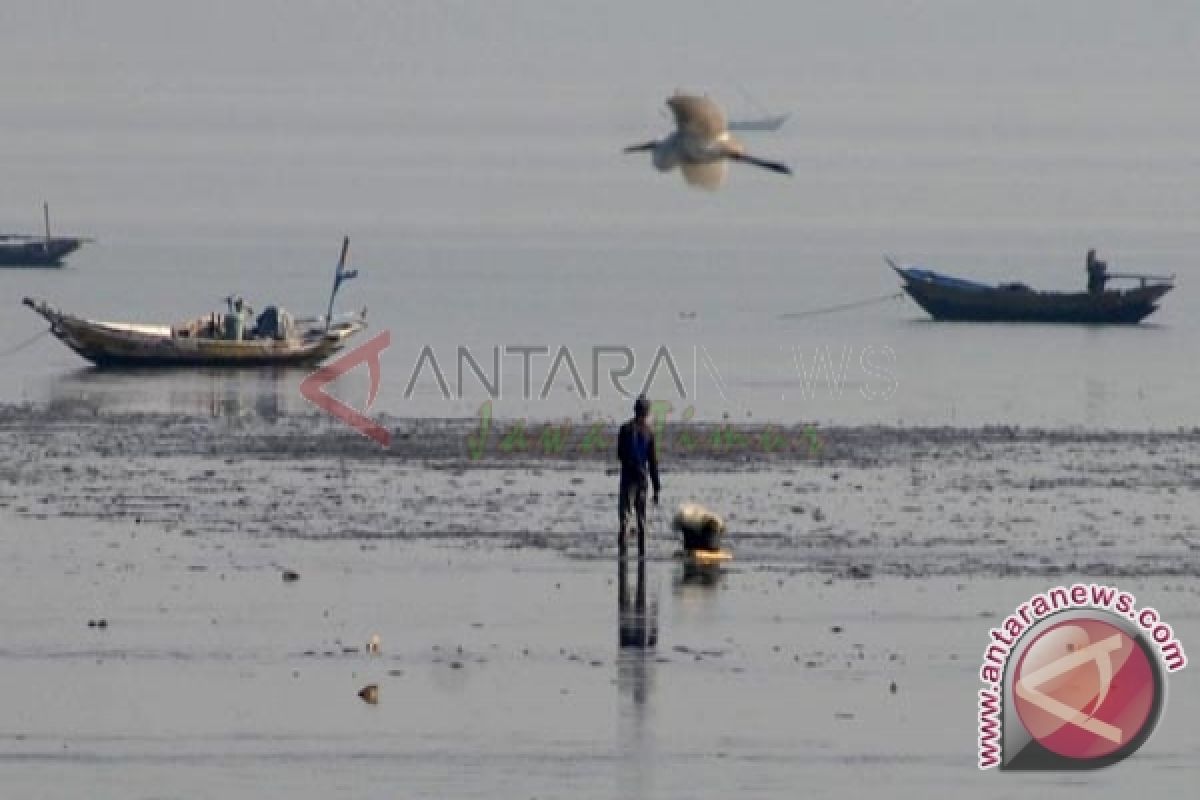 Hasil laut Tanjabtim potensial dikembangkan