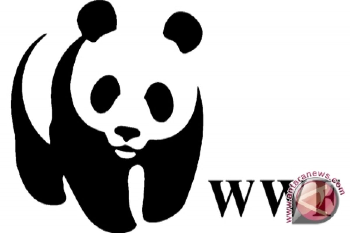WWF Prihatin Orangutan Terbakar Mati 
