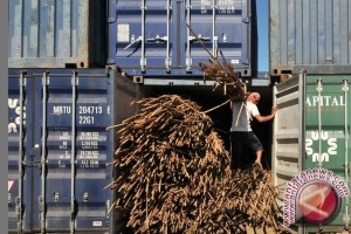 Bea Cukai Gagalkan Penyelundupan Rotan Tujuan RRT