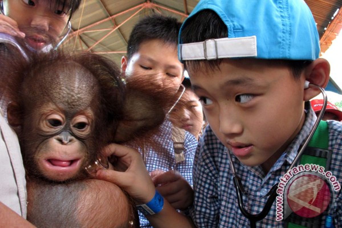 Cruelty reports draws worldwide attention to Surabaya Zoo