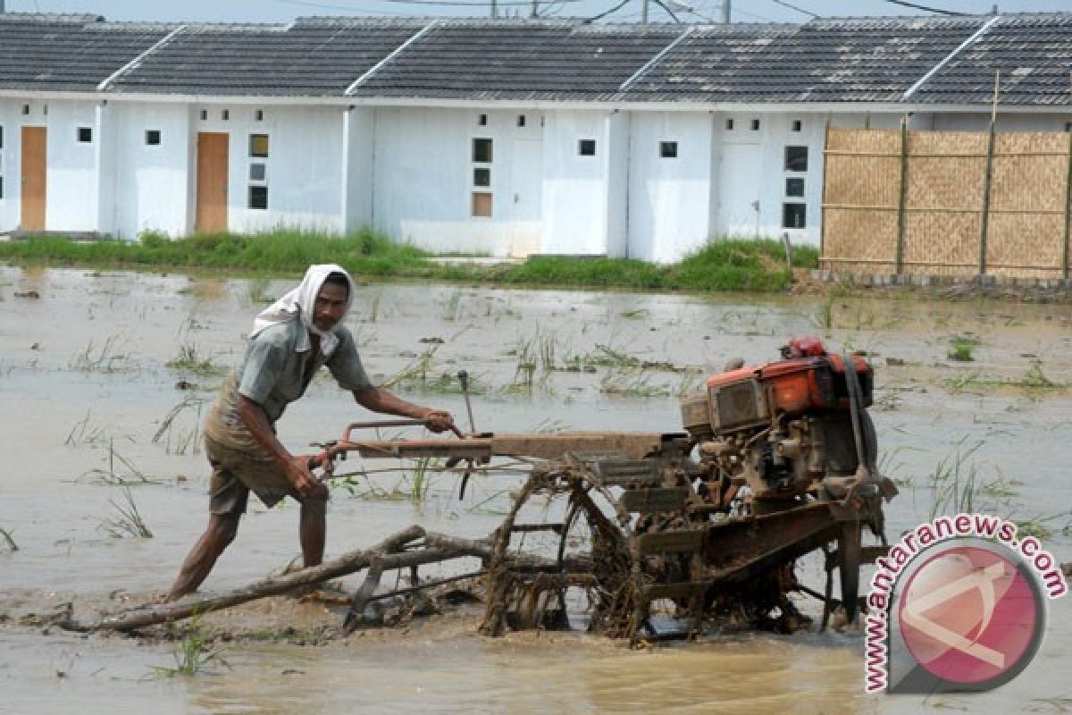 Ribuan hektare sawah Karawang beralih fungsi