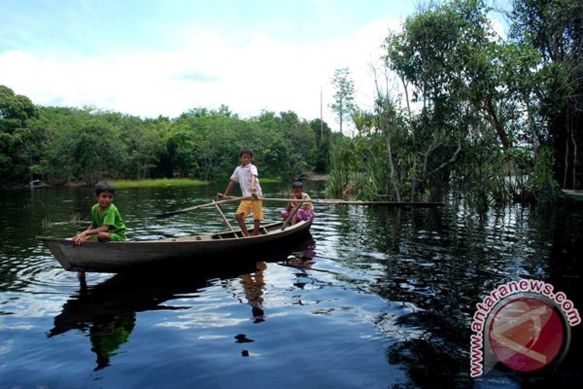 Polda Riau tetapkan lima tersangka perambah cagar biosfer