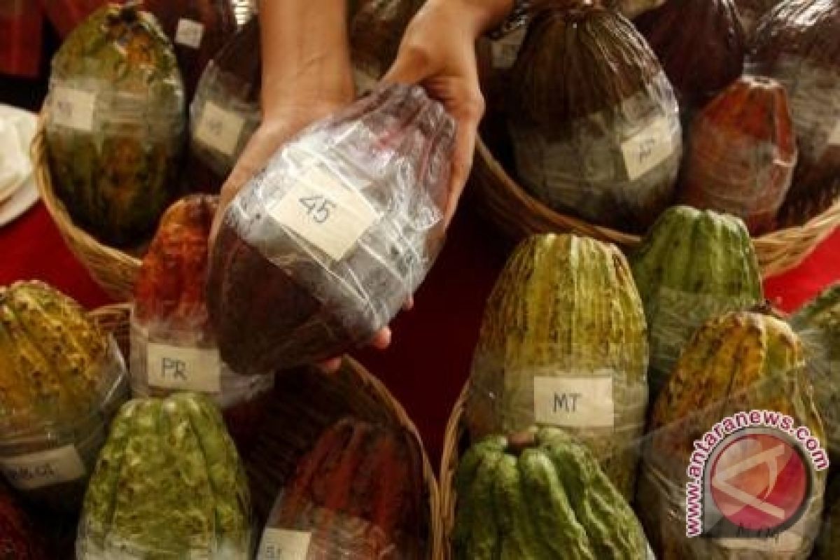 GPEI Minta Pemerintah Tinjau Bea Ekspor Kakao 