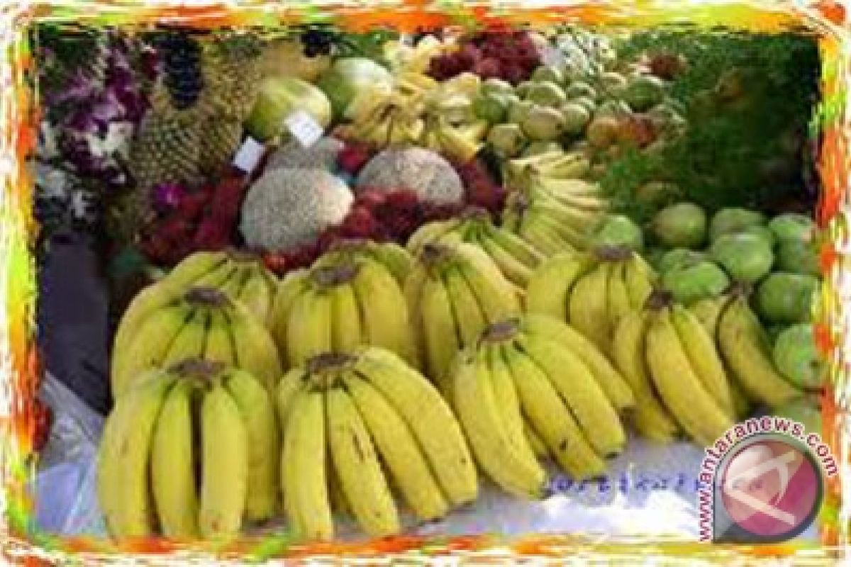 Bantul selenggarakan festival pisang angkat potensi lokal