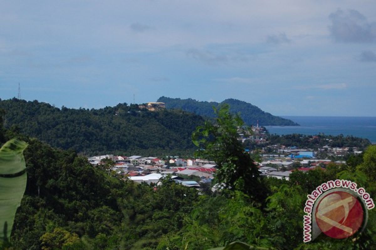 Hutan rusak di Jayapura capai tujuh hektar