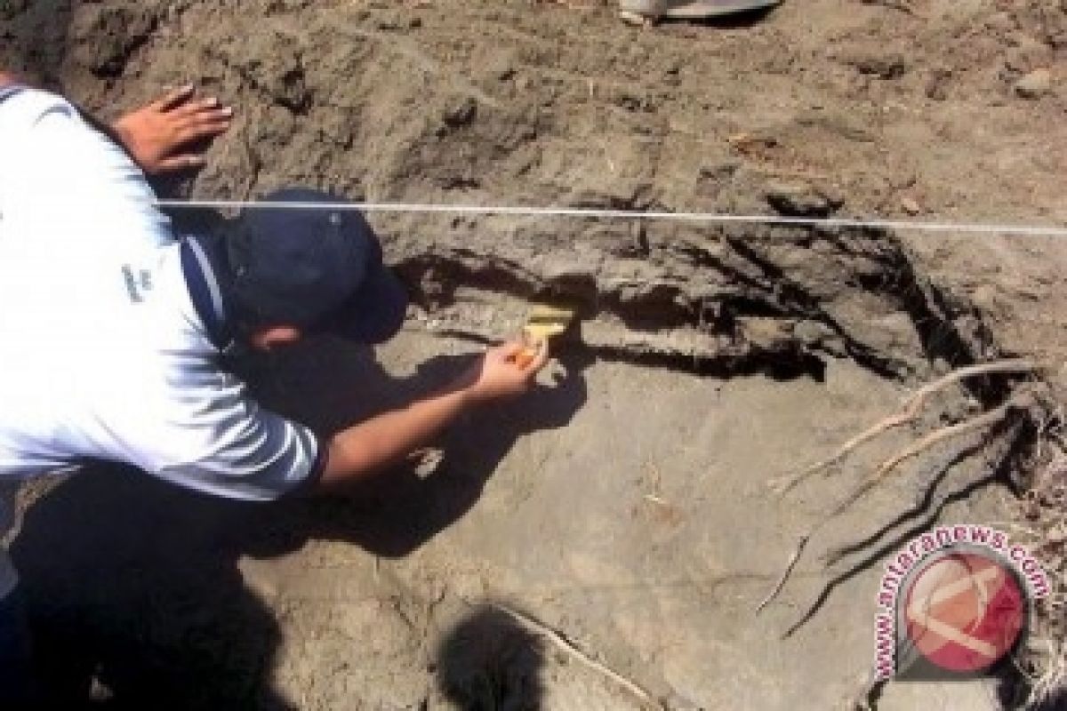 Arkeolog temukan makam tua Merangin