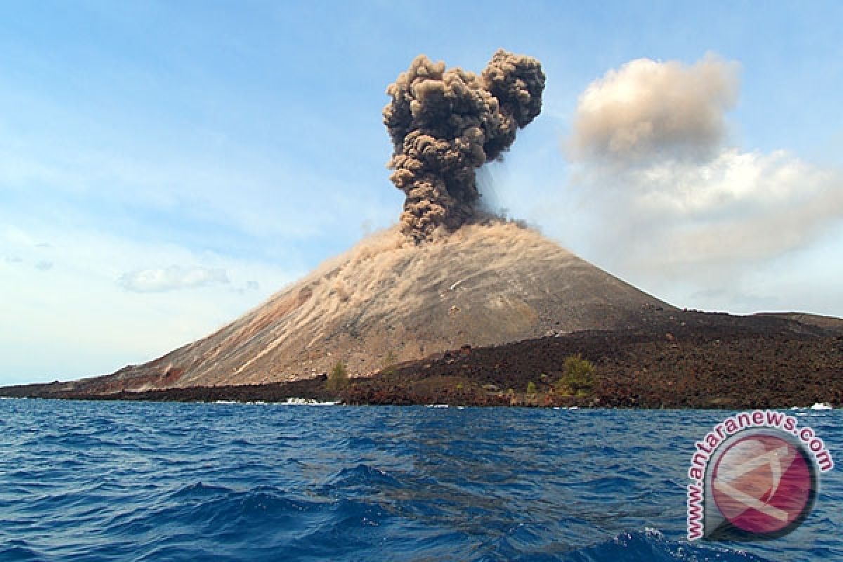 Gunung Anak Krakatau 9 Kali Tremor