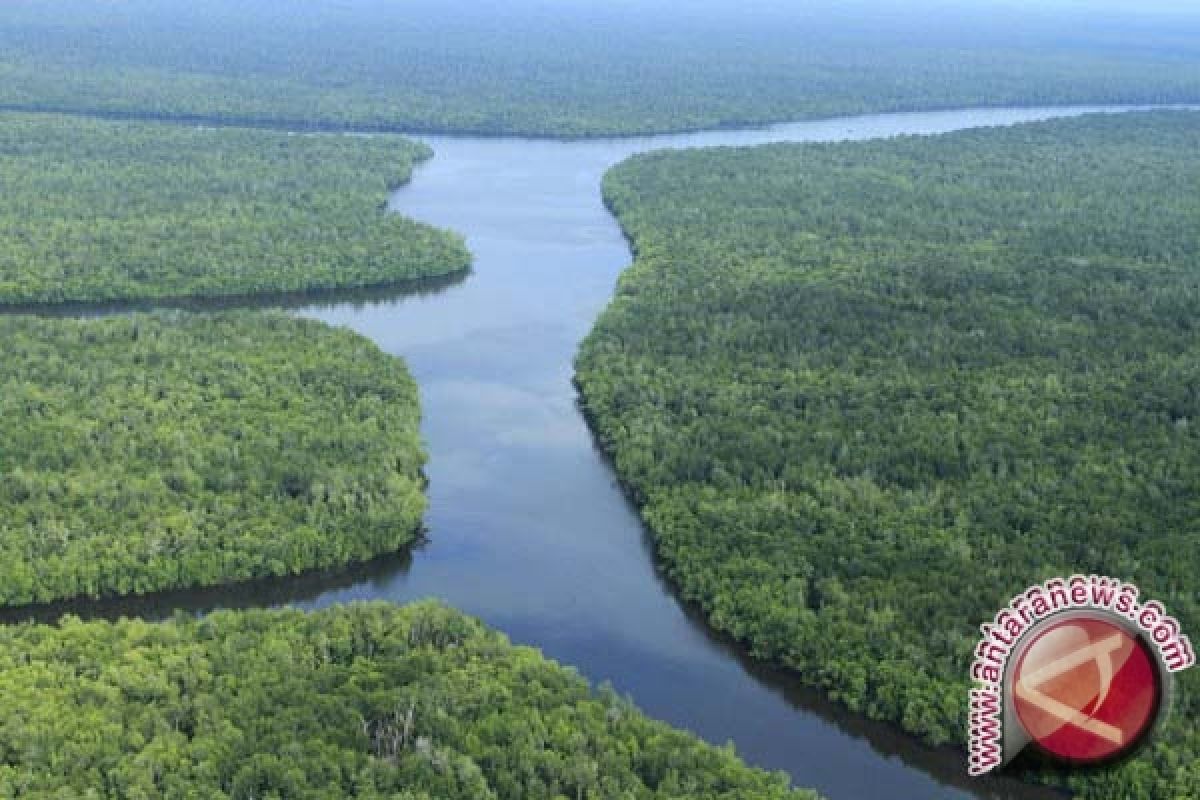 Taman Nasional Sembilang jadi lokasi burung berimigrasi 