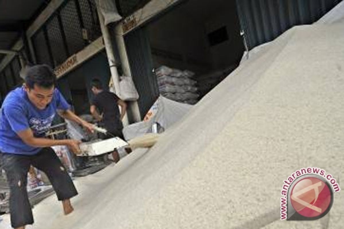 Sulteng 2016 Surplus Beras 280.000 Ton 