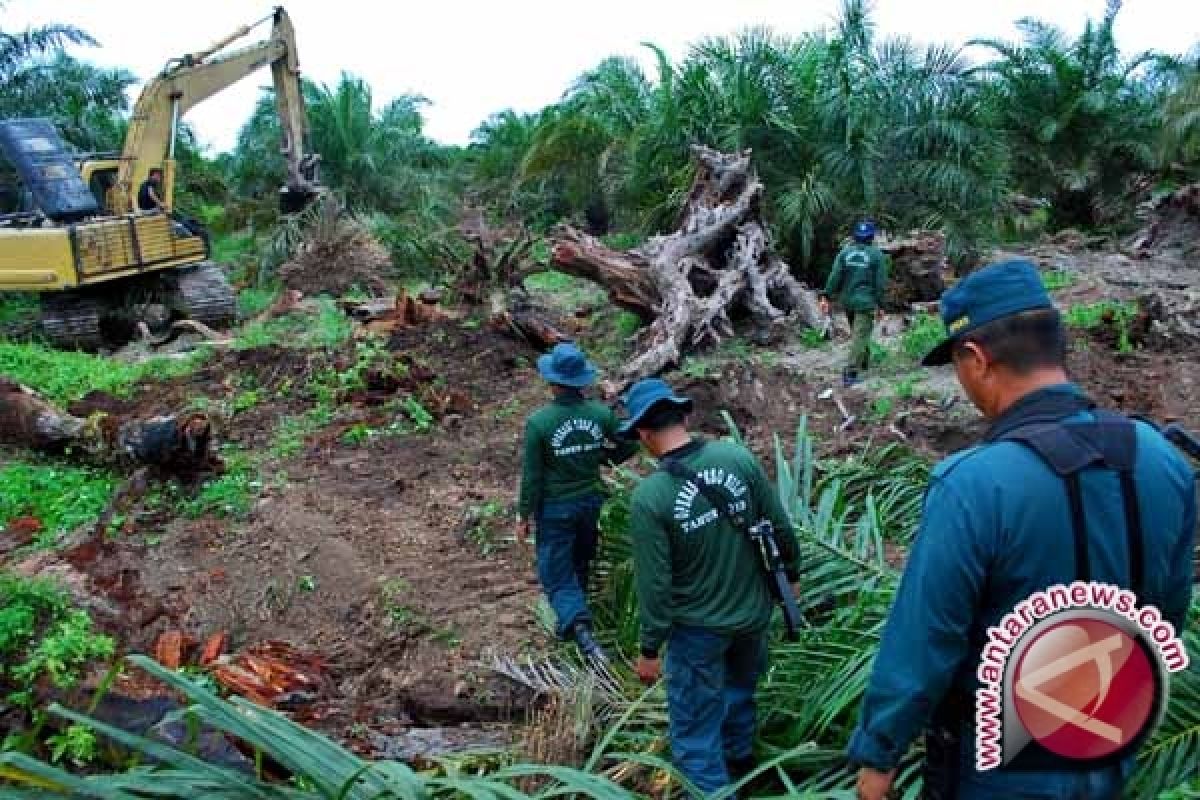 KLMB UGM diharapkan bantu pengusutan perusakan hutan