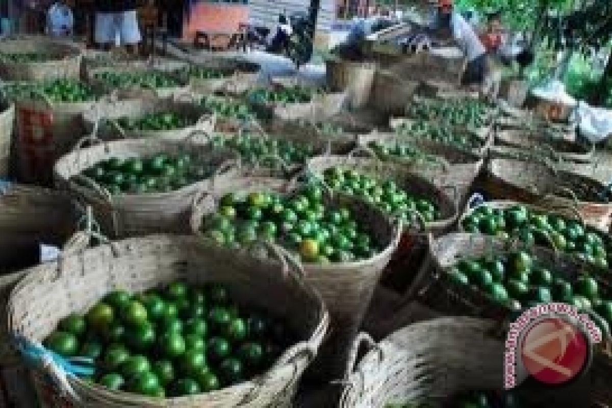 Konsumsi Jeruk Lebih Sehat  Dibanding Jus Jeruk