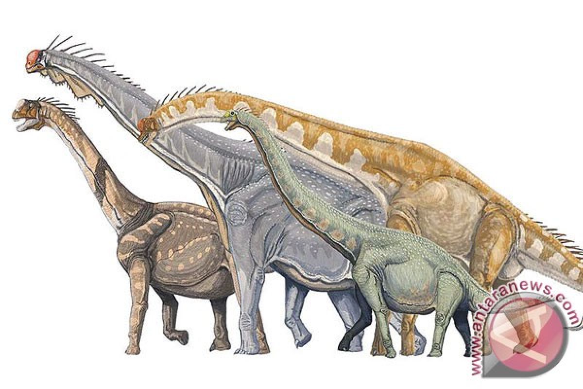 Dinasourus musnah oleh komet, bukan asteroid