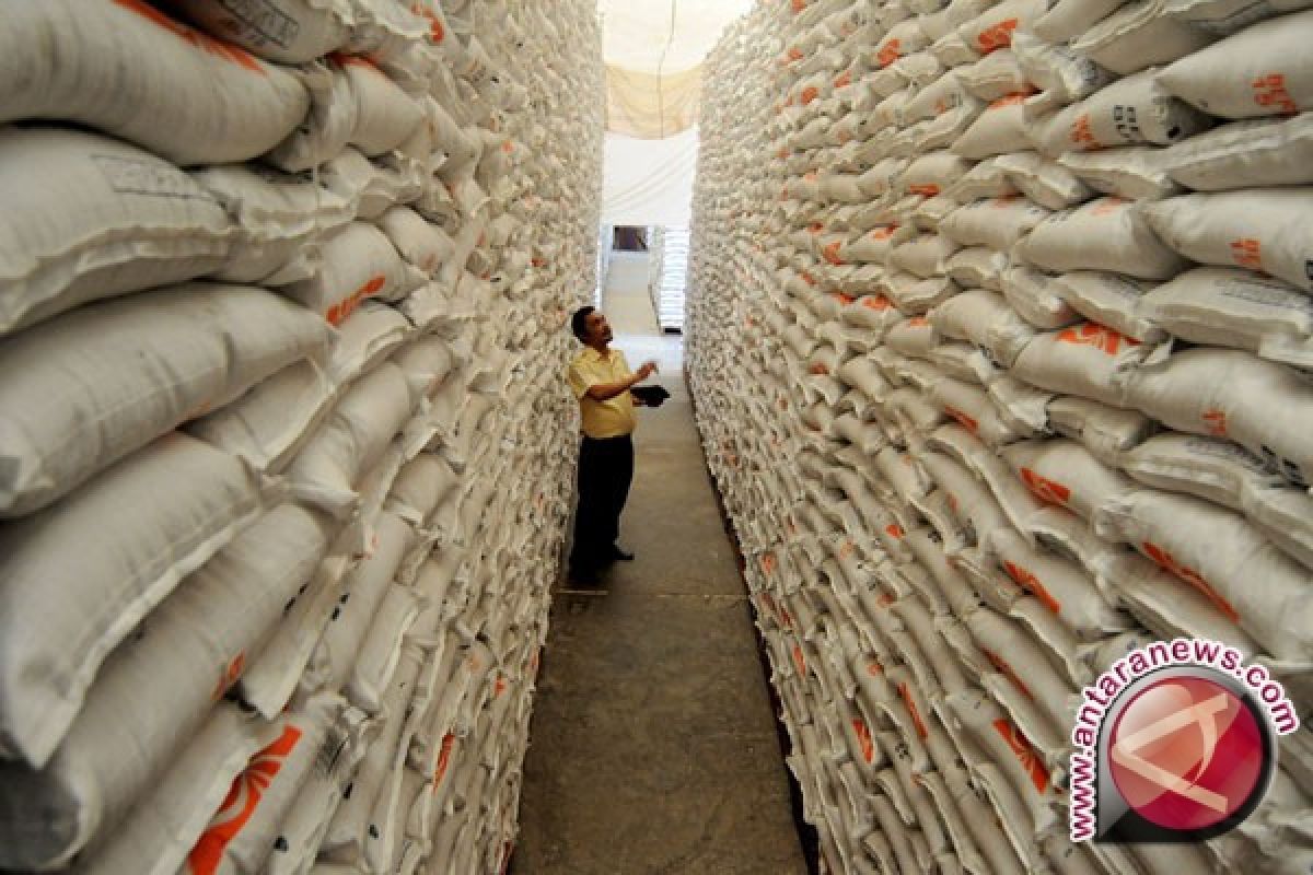 Produksi beras Sleman masih tetap surplus 