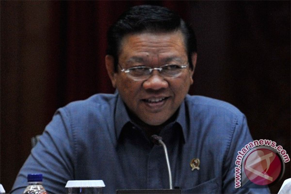 Senior minister congratulates Jakarta gubernatorial election winner