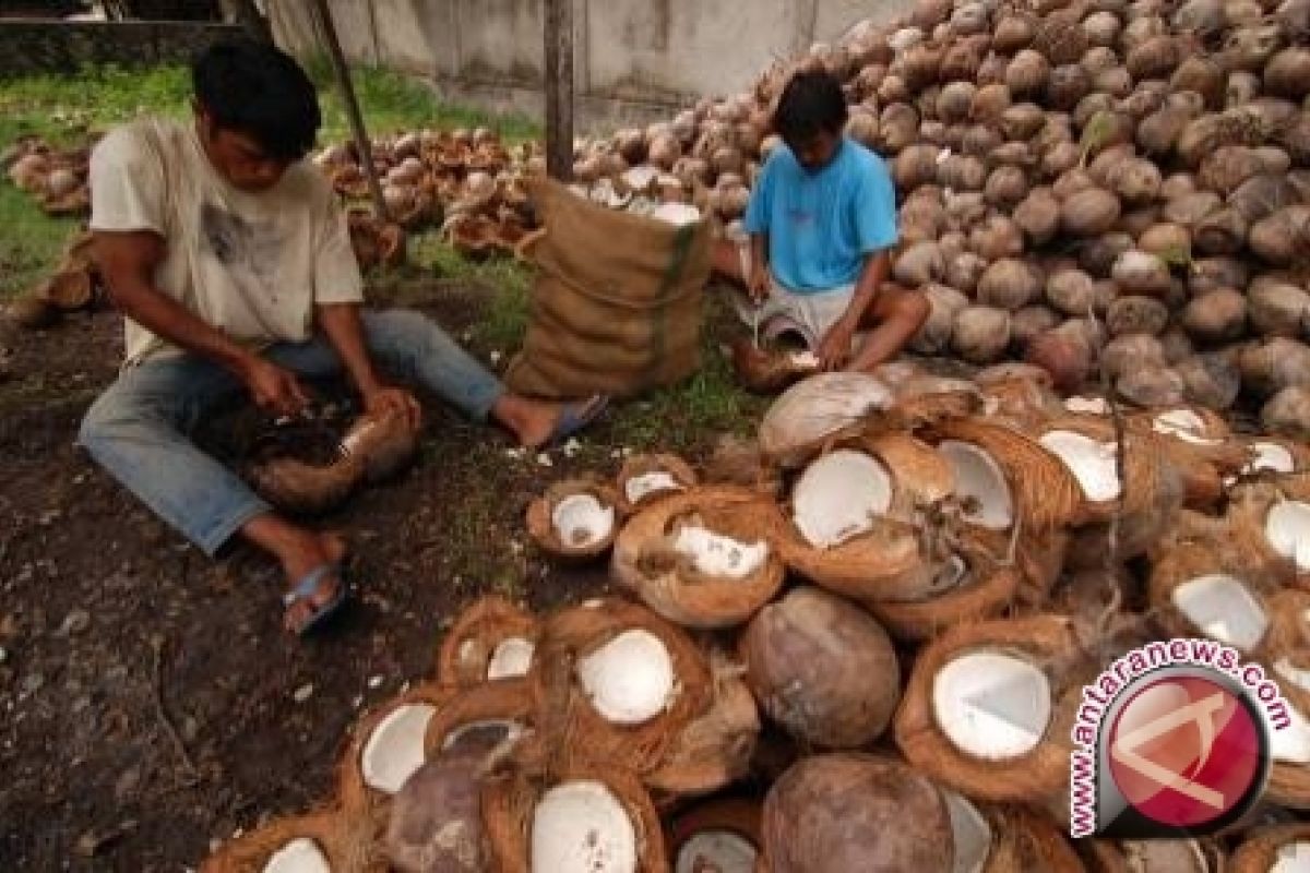 Permintaan tepung kelapa Sulut dari Rusia tinggi