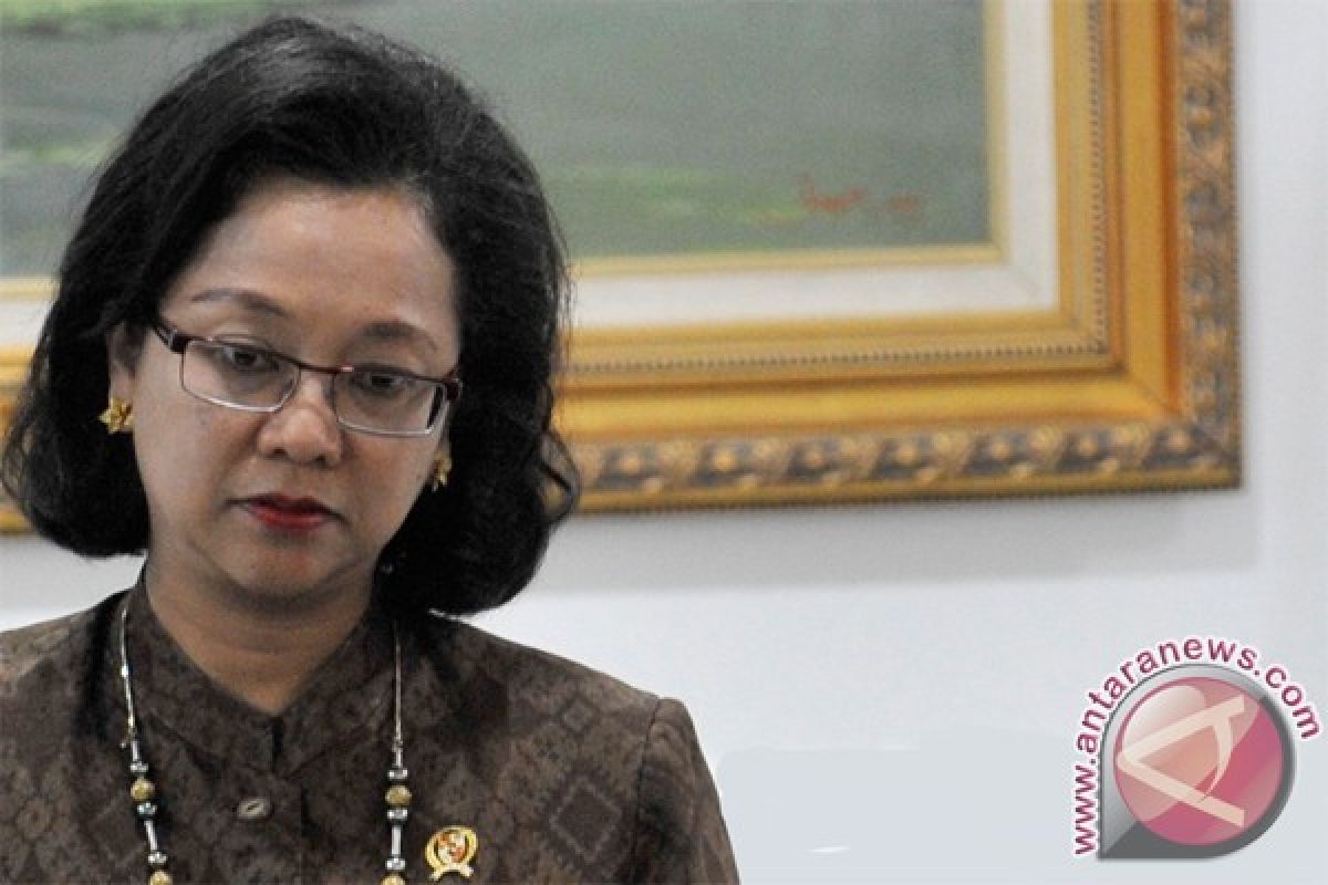 Indonesia not a failed state: Minister