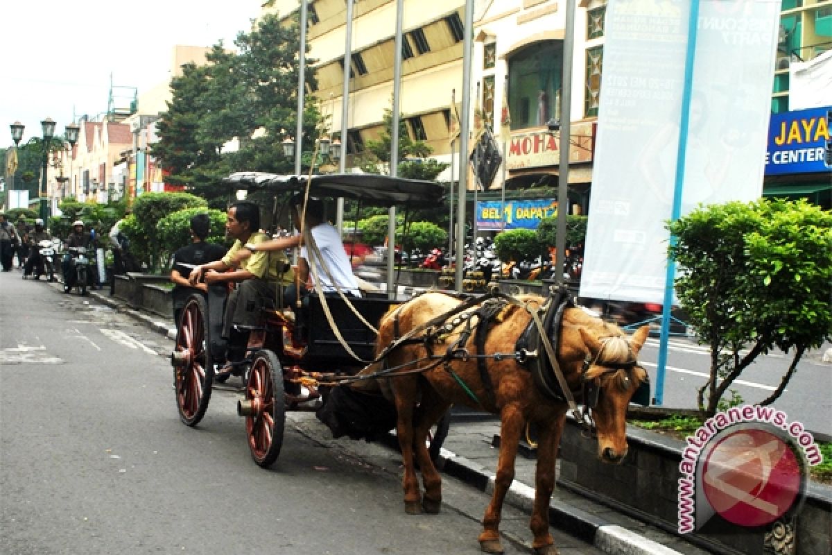 Peneliti : transportasi tradisional di Yogyakarta perlu dioptimalkan