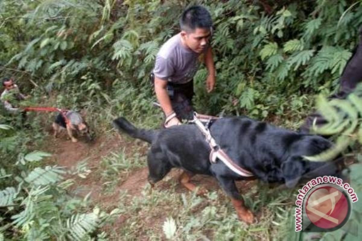 Anjing pelacak bantu pencarian korban Sukhoi