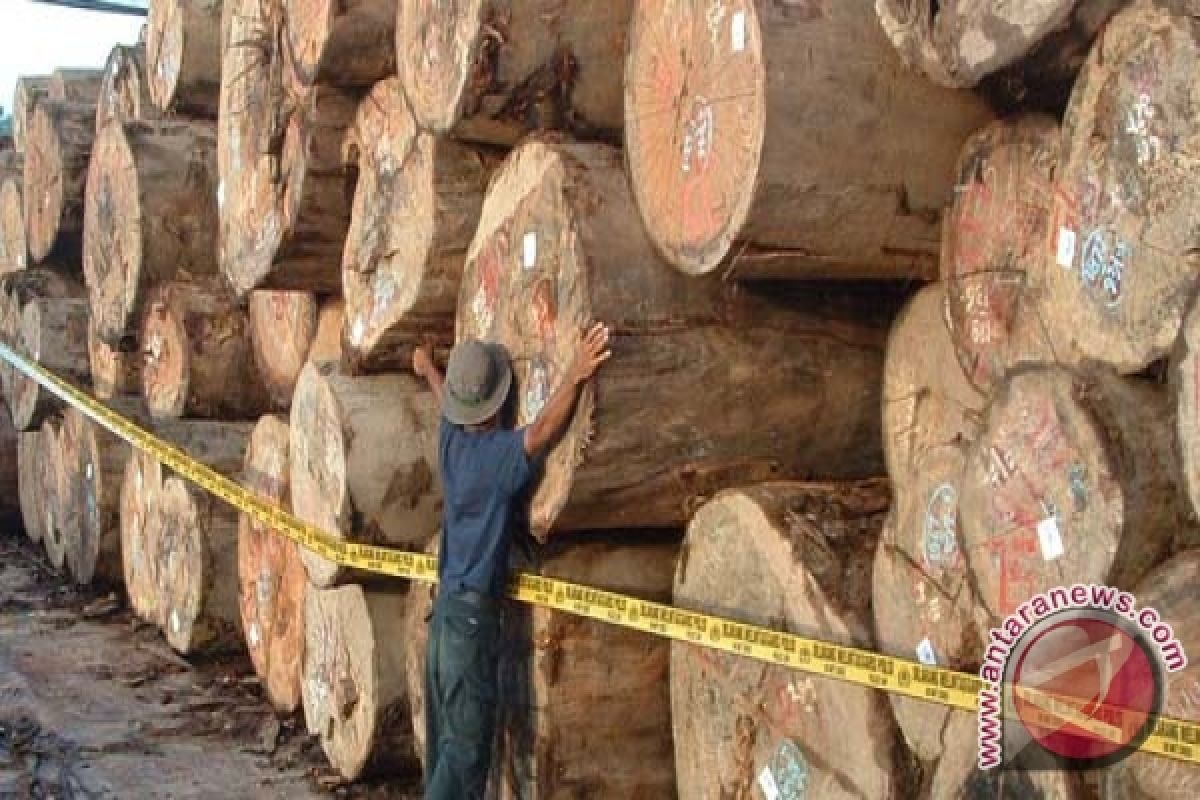 Polhut perketat pengamanan hutan lindung