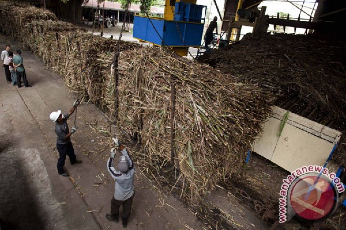 PG Madukismo menargetkan produksi gula 41.250 ton pada 2016
