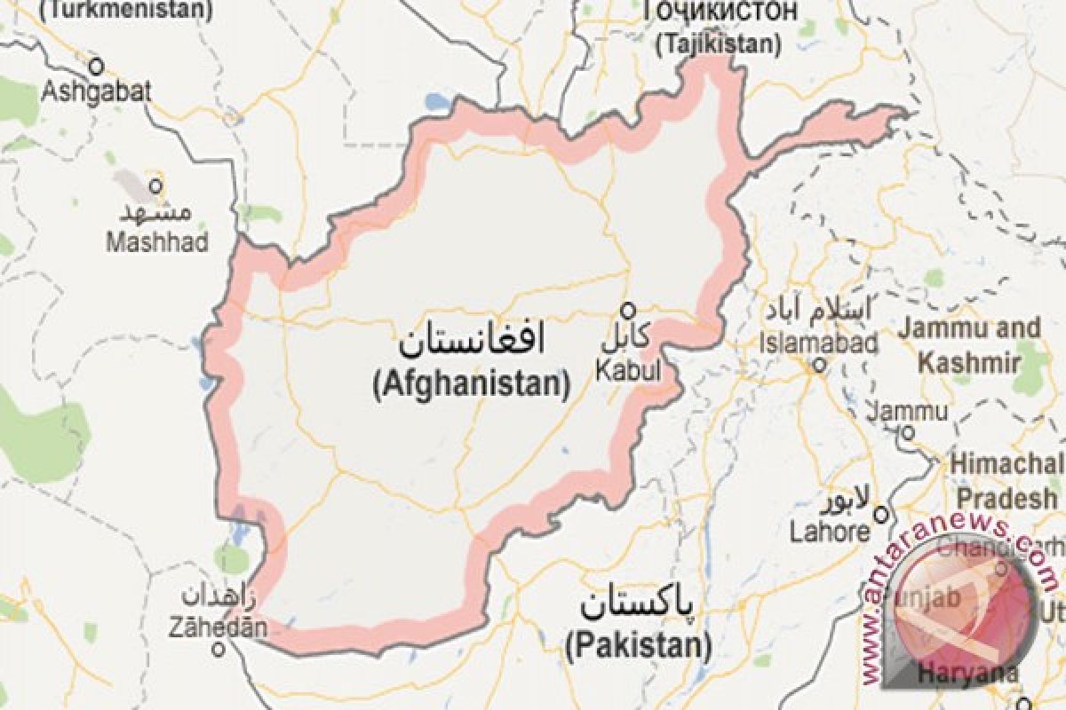 15 taliban tewas dalam bentrokan di Afghanistan