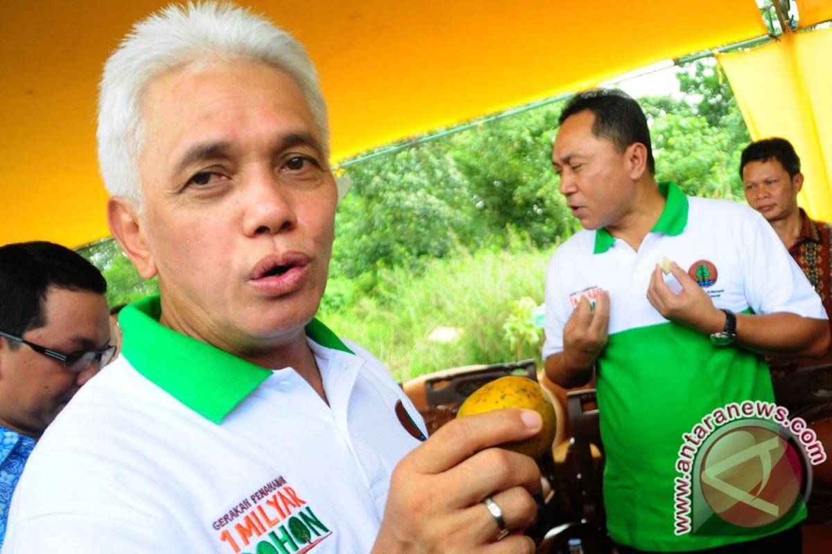 Hatta Rajasa dan Jeruk Pontianak