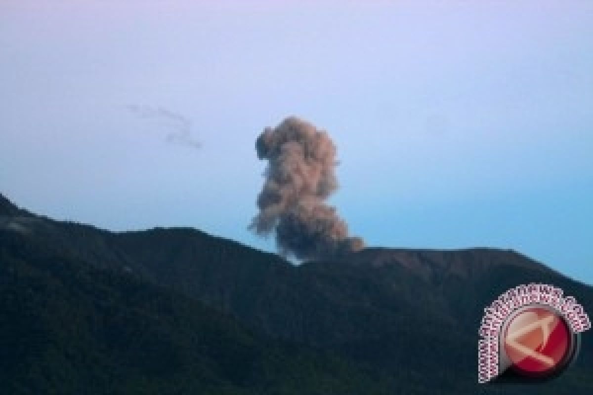 Gunung Marapi Semburkan Abu Vulkanik Setinggi 200 Meter