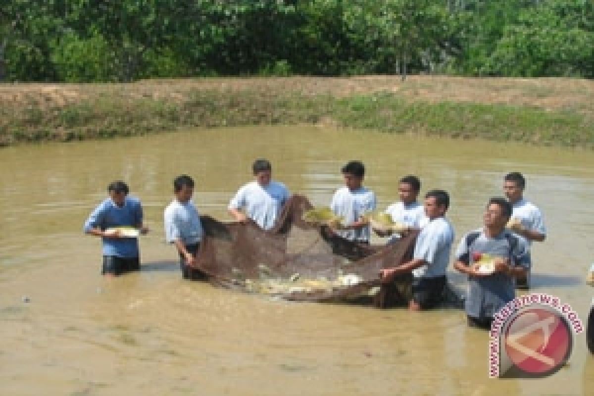 Olahan Ikan Kapuas Hulu Miliki Potensi Ekspor
