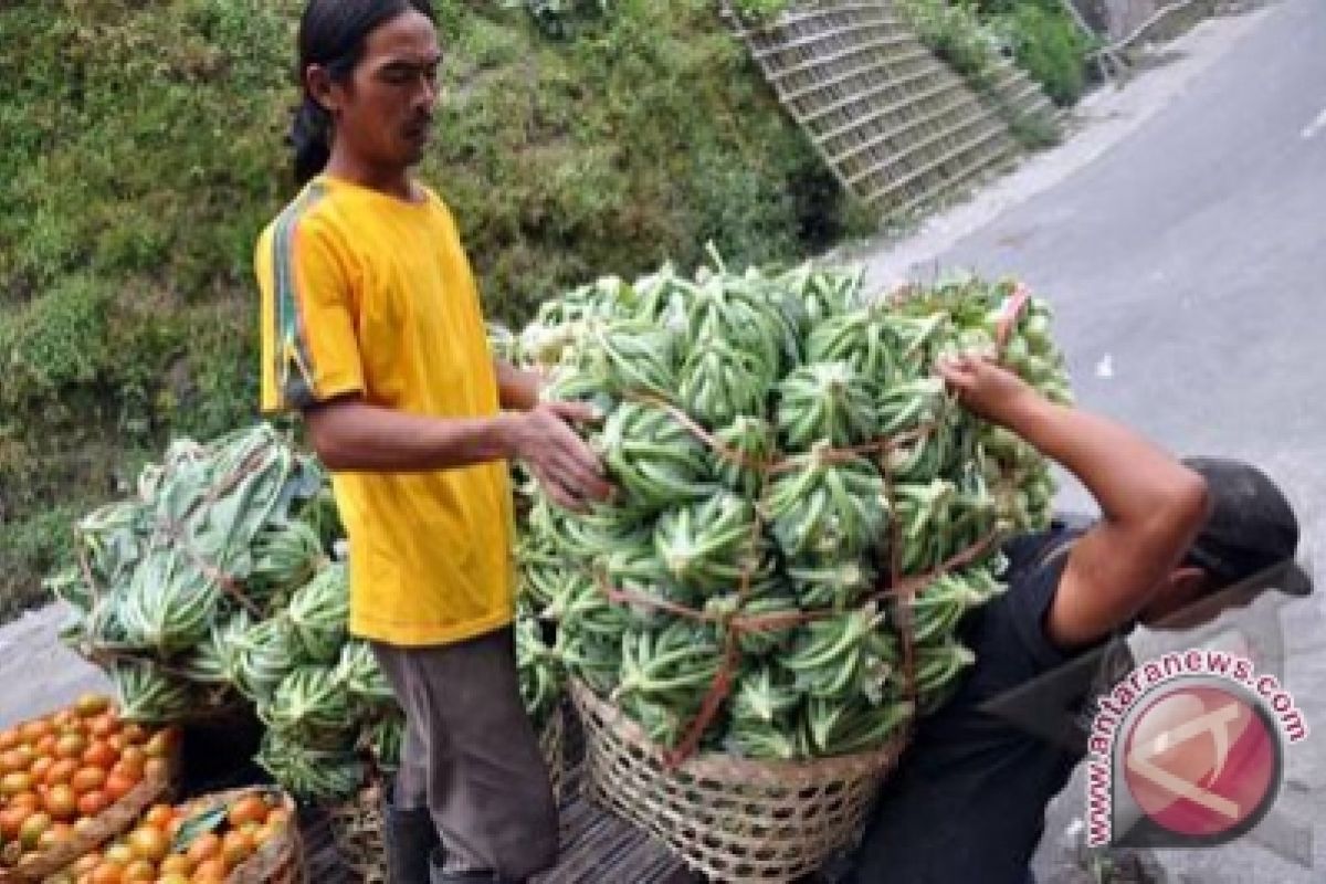 Dusun Mudal menuju kawasan agrowisata pascaerupsi Merapi